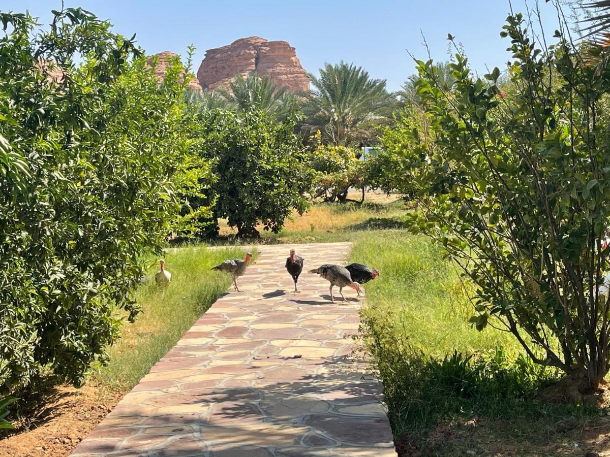 Naseem Country House Al Ula Exterior photo