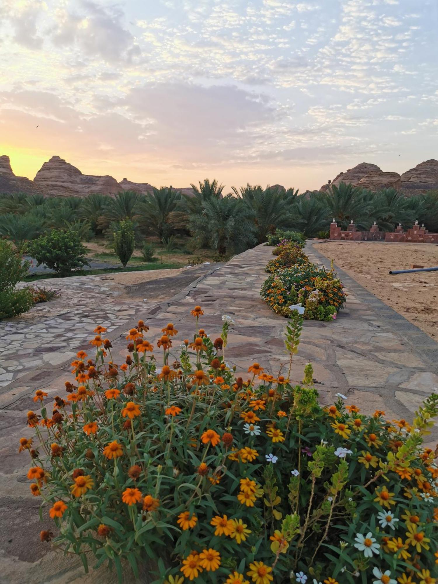 Naseem Country House Al Ula Exterior photo