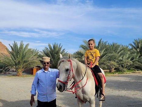A young horseman 